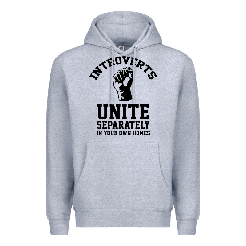 Introverts Unite Premium Hoodie by linhVisuals | Teevron