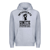 Heather Grey introverts unite Premium Hoodie - linhVisuals