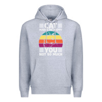 Heather Grey Funny Cat Lover Sarcastic Cat Memes Premium Hoodie - linhVisuals