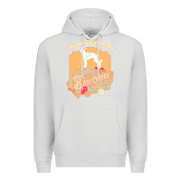 Dove Grey mom t  shirt italian greyhound best coffee   dog owner coffee lover gi Premium Hoodie - linhVisuals