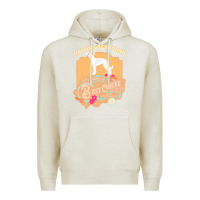 Oatmeal Heather mom t  shirt italian greyhound best coffee   dog owner coffee lover gi Premium Hoodie - linhVisuals