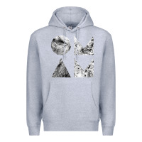 Heather Grey of monsters and men Premium Hoodie - linhVisuals