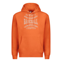 Carrot fantasy baseball champion distressed Premium Hoodie - linhVisuals