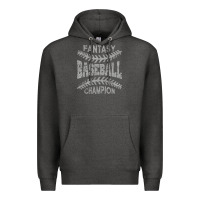 Fantasy Baseball Champion Distressed Premium Hoodie | Teevron