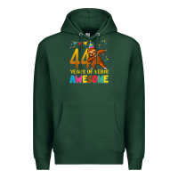 Sports Green 44 years old birthday sloth dabbing 44th birthday sloth Premium Hoodie - linhVisuals