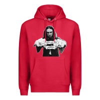 Cardinal it should have been lars Premium Hoodie - linhVisuals