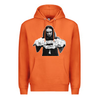 Carrot it should have been lars Premium Hoodie - linhVisuals