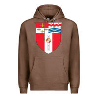 Chestnut Rensselaer Polytechnic Institute Premium Hoodie - linhVisuals