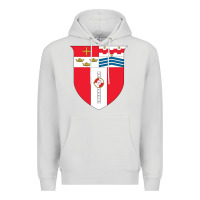 Dove Grey Rensselaer Polytechnic Institute Premium Hoodie - linhVisuals