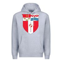 Heather Grey Rensselaer Polytechnic Institute Premium Hoodie - linhVisuals