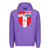 Purple Rensselaer Polytechnic Institute Premium Hoodie - linhVisuals