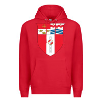 Red Rensselaer Polytechnic Institute Premium Hoodie - linhVisuals