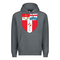 Rock Rensselaer Polytechnic Institute Premium Hoodie - linhVisuals