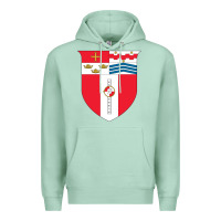 Seafoam Rensselaer Polytechnic Institute Premium Hoodie - linhVisuals