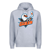 Heather Grey the-san-diego-gulls-pen Premium Hoodie - linhVisuals