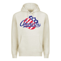Oatmeal Heather the-rochester-americans-pen Premium Hoodie - linhVisuals