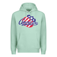 Seafoam the-rochester-americans-pen Premium Hoodie - linhVisuals