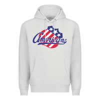 Dove Grey the-rochester-americans-pen Premium Hoodie - linhVisuals