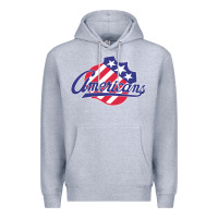 Heather Grey the-rochester-americans-pen Premium Hoodie - linhVisuals
