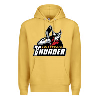 Antique Gold the-adirondack-thunder-pen Premium Hoodie - linhVisuals