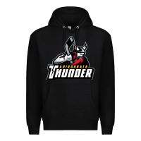 Black the-adirondack-thunder-pen Premium Hoodie - linhVisuals