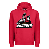 Cardinal the-adirondack-thunder-pen Premium Hoodie - linhVisuals