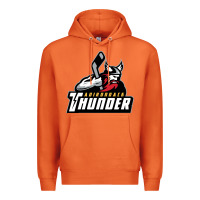 Carrot the-adirondack-thunder-pen Premium Hoodie - linhVisuals