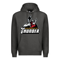 Charcoal Heather the-adirondack-thunder-pen Premium Hoodie - linhVisuals