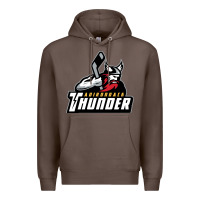 Coffee the-adirondack-thunder-pen Premium Hoodie - linhVisuals