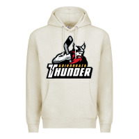 Oatmeal Heather the-adirondack-thunder-pen Premium Hoodie - linhVisuals