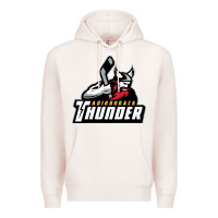 The-adirondack-thunder-pen Premium Hoodie | Teevron