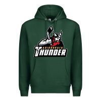 Sports Green the-adirondack-thunder-pen Premium Hoodie - linhVisuals