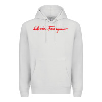 Dove Grey SALVATORE TSHIRT Premium Hoodie - linhVisuals