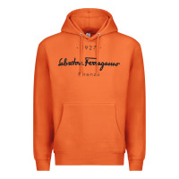 Carrot SALVATORE TSHIRT Premium Hoodie - linhVisuals