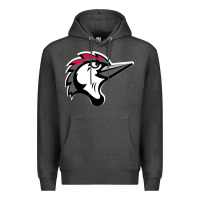 Charcoal Heather fayetteville woodpeckers Premium Hoodie - linhVisuals