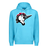Ocean Blue fayetteville woodpeckers Premium Hoodie - linhVisuals