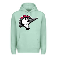 Seafoam fayetteville woodpeckers Premium Hoodie - linhVisuals