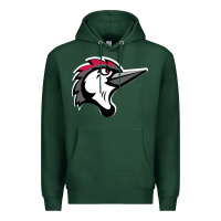 Sports Green fayetteville woodpeckers Premium Hoodie - linhVisuals
