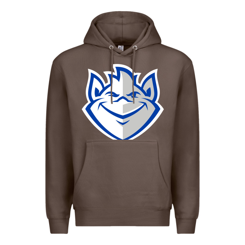 The Billikens Premium Hoodie by linhVisuals | Teevron