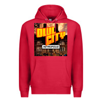 Cardinal Owl City Adam Young Premium Hoodie - linhVisuals