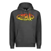 Charcoal Heather 311 meaning history Premium Hoodie - linhVisuals