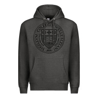 Charcoal Heather Wellesley College Premium Hoodie - linhVisuals