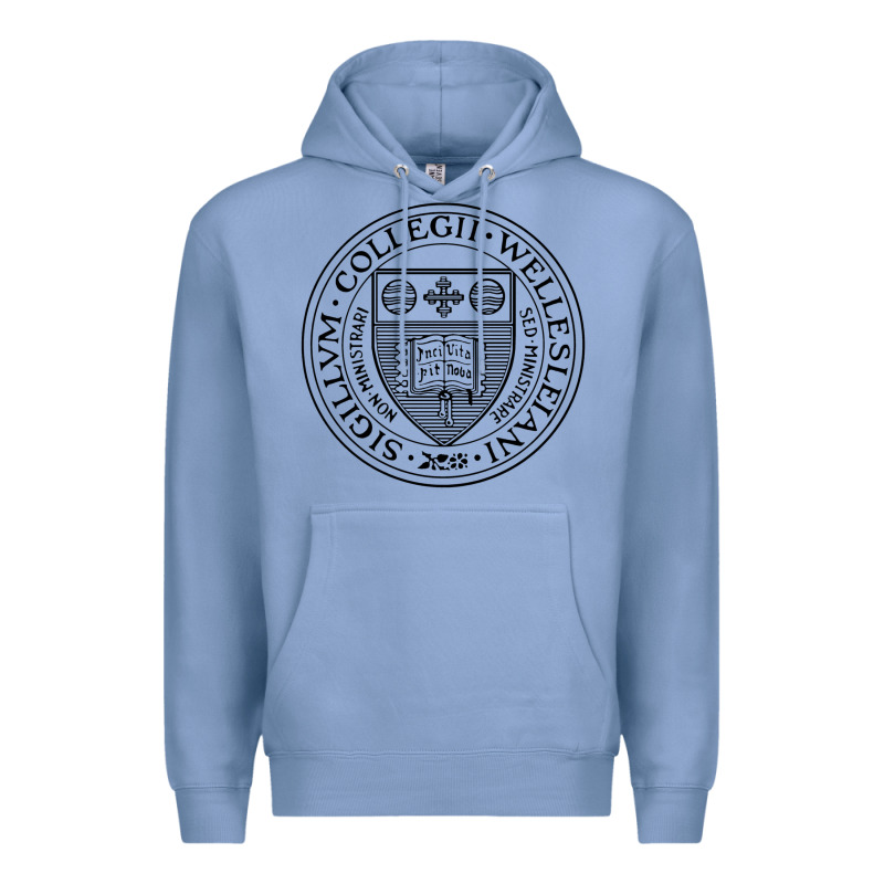 Wellesley College Premium Hoodie by linhVisuals | Teevron