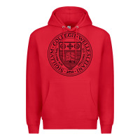 Red Wellesley College Premium Hoodie - linhVisuals
