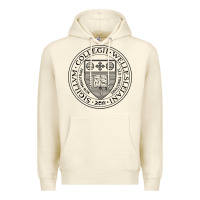 Sandshell Wellesley College Premium Hoodie - linhVisuals