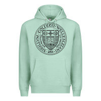 Seafoam Wellesley College Premium Hoodie - linhVisuals