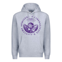 Heather Grey Williams College Premium Hoodie - linhVisuals