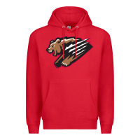 Red fresno grizzlies baseball Premium Hoodie - linhVisuals