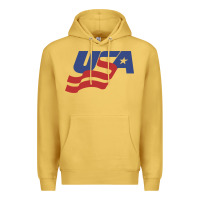 Antique Gold usa hockey simple Premium Hoodie - linhVisuals