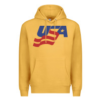 Mustard usa hockey simple Premium Hoodie - linhVisuals
